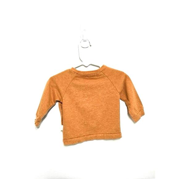 Rabbit +Bear pumpkin sweatshirt. Size 6-9 months. - Picture 4 of 8